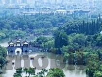 91黑丝麻豆-不可言喻的另类美学，深入91黑丝麻豆的文化观察