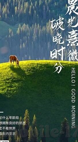 av日韩麻豆网址-开篇，网络世界的双刃剑