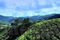av日韩一二三区-探索日韩AV文化，一二三区的多元视角
