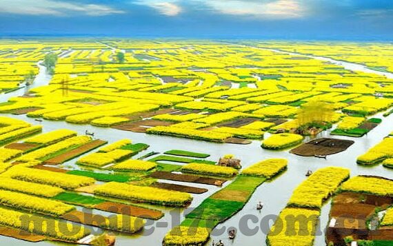 大象视频网页版入口-探索大象视频网页版入口，解锁精彩影视的便捷途径